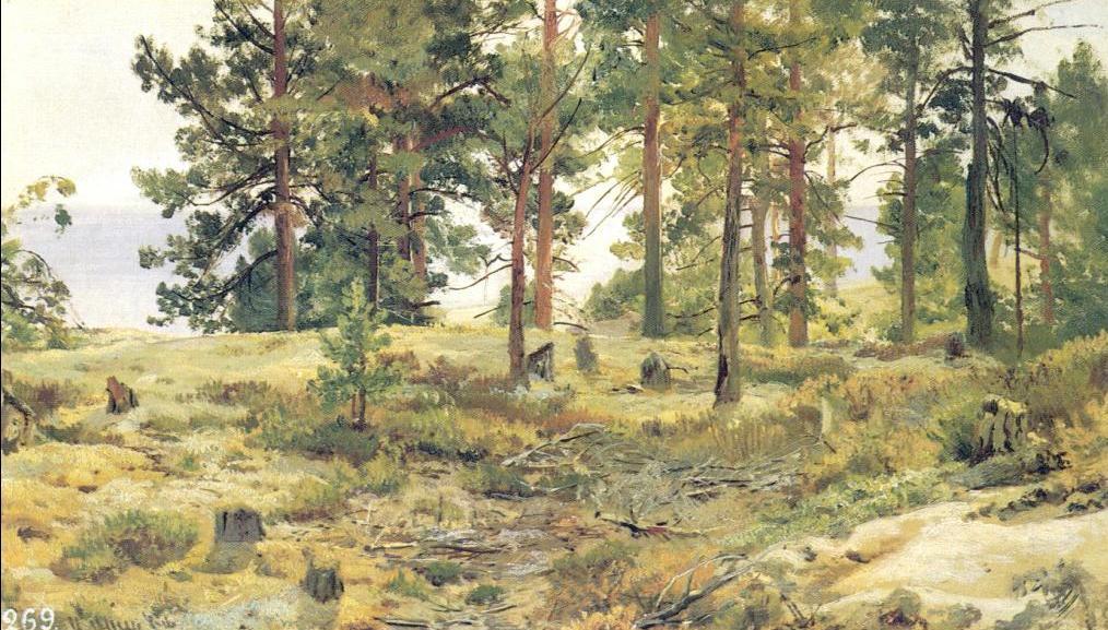 Wikioo.org – La Enciclopedia de las Bellas Artes - Pintura, Obras de arte de Ivan Ivanovich Shishkin - El suelo arenoso