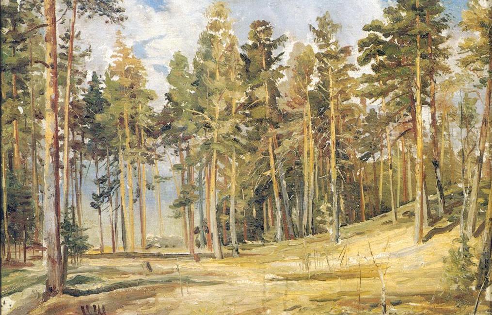 Wikioo.org - The Encyclopedia of Fine Arts - Painting, Artwork by Ivan Ivanovich Shishkin - Pines. Sunny Day