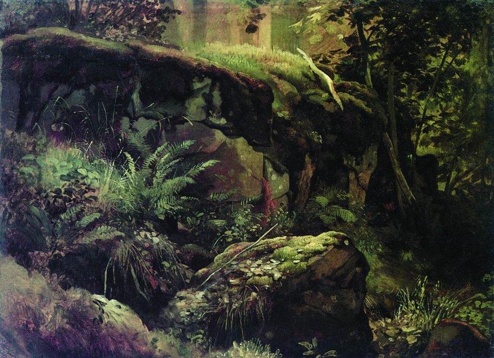 WikiOO.org - Enciklopedija likovnih umjetnosti - Slikarstvo, umjetnička djela Ivan Ivanovich Shishkin - Stones in the forest. Valaam