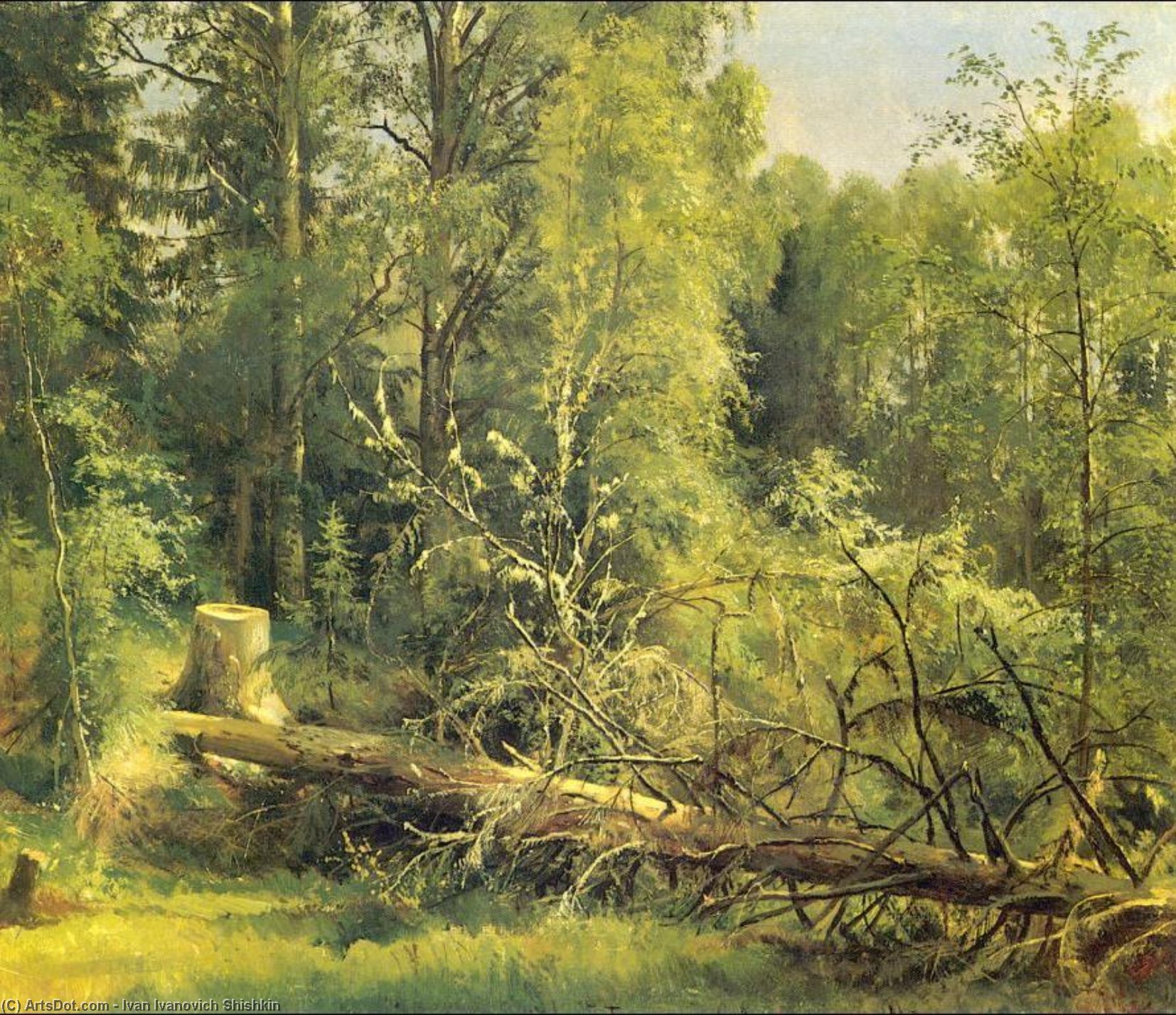 Wikioo.org – La Enciclopedia de las Bellas Artes - Pintura, Obras de arte de Ivan Ivanovich Shishkin - el corte abajo  tronco