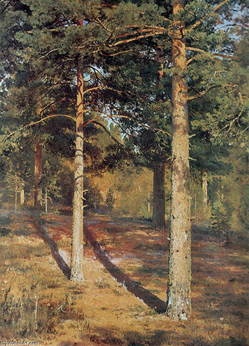 WikiOO.org - Encyclopedia of Fine Arts - Maleri, Artwork Ivan Ivanovich Shishkin - The Sun­lit Pines