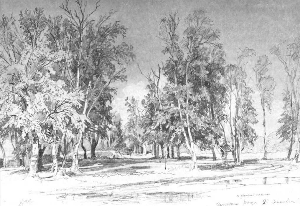 WikiOO.org - Енциклопедія образотворчого мистецтва - Живопис, Картини
 Ivan Ivanovich Shishkin - Zelenin's grove