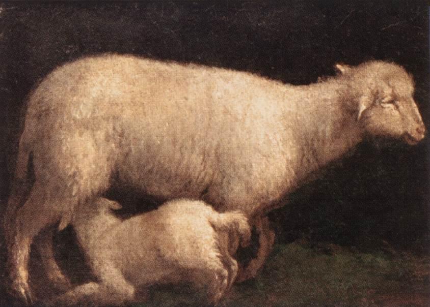 Wikioo.org – La Enciclopedia de las Bellas Artes - Pintura, Obras de arte de Jacopo Bassano (Jacopo Da Ponte) - Ovejas y Cordero