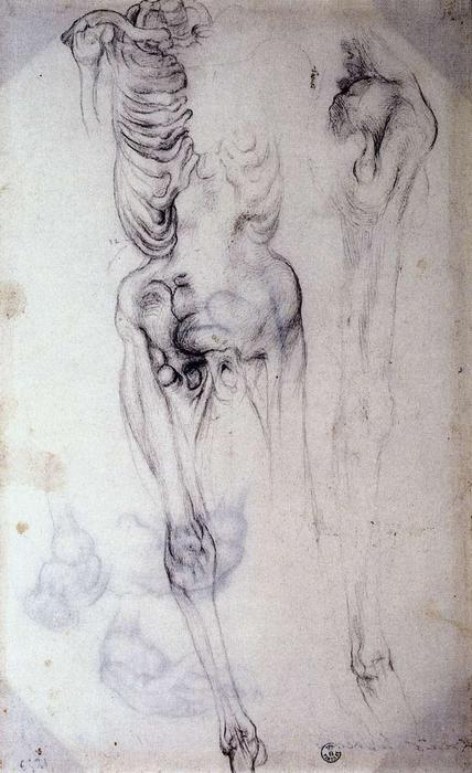 Wikioo.org - Die Enzyklopädie bildender Kunst - Malerei, Kunstwerk von Jacopo Carucci (Pontormo) - Anatomische Studie