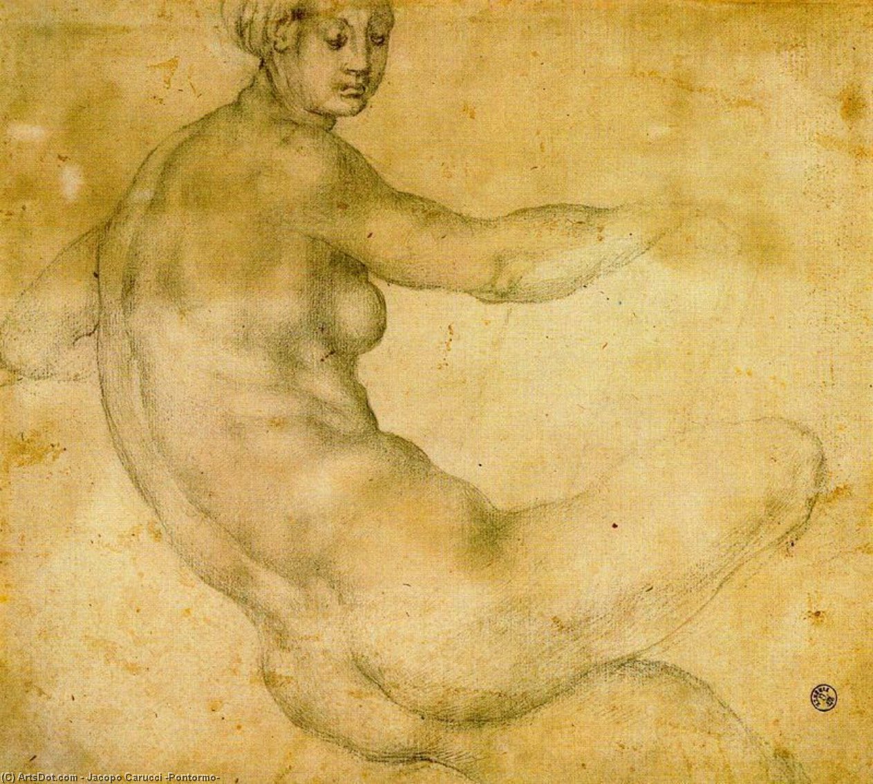 WikiOO.org - Encyclopedia of Fine Arts - Festés, Grafika Jacopo Carucci (Pontormo) - Female nude 2