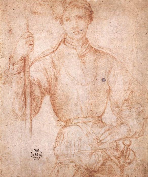 Wikioo.org - The Encyclopedia of Fine Arts - Painting, Artwork by Jacopo Carucci (Pontormo) - Halberdier 1