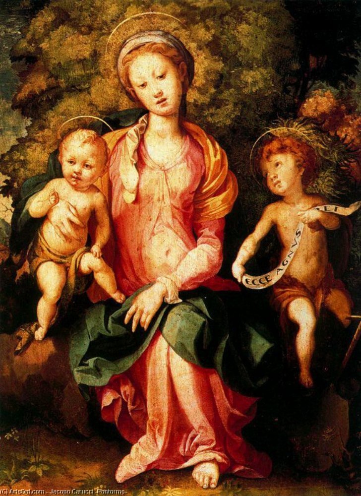 WikiOO.org - Εγκυκλοπαίδεια Καλών Τεχνών - Ζωγραφική, έργα τέχνης Jacopo Carucci (Pontormo) - Madonna and Child with the Young Saint John