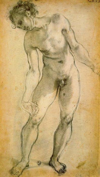 Wikioo.org – La Enciclopedia de las Bellas Artes - Pintura, Obras de arte de Jacopo Carucci (Pontormo) - Desnudo masculino