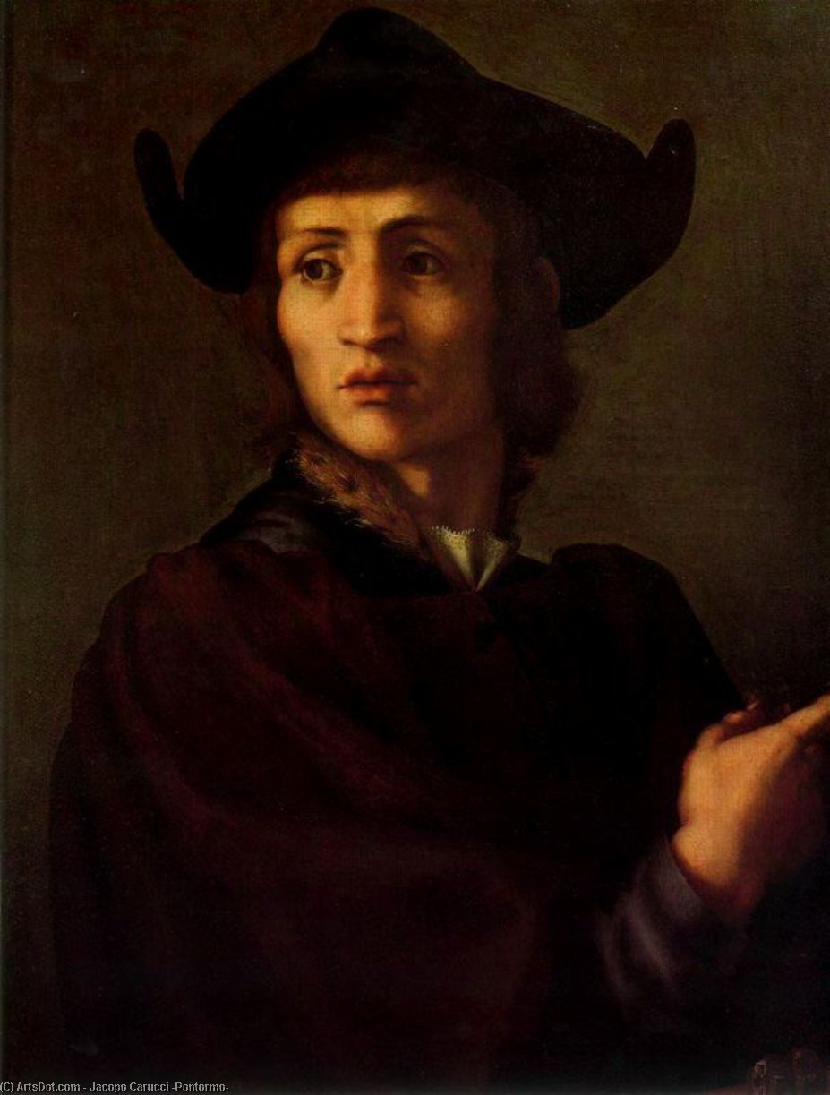 WikiOO.org - Енциклопедія образотворчого мистецтва - Живопис, Картини
 Jacopo Carucci (Pontormo) - Portrait of a Jeweler