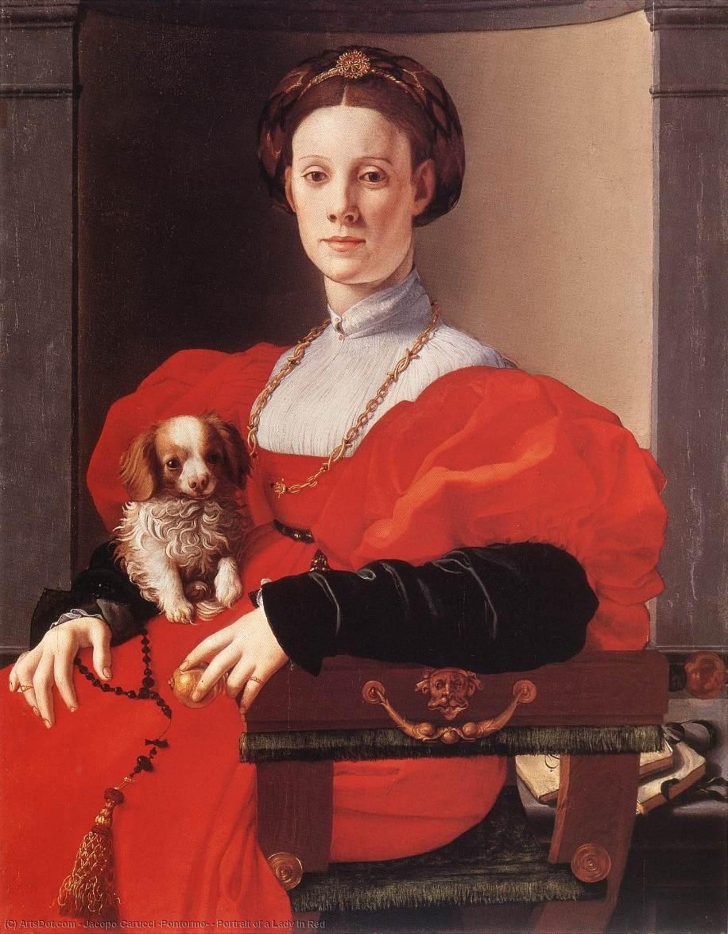 Wikioo.org - สารานุกรมวิจิตรศิลป์ - จิตรกรรม Jacopo Carucci (Pontormo) - Portrait of a Lady in Red