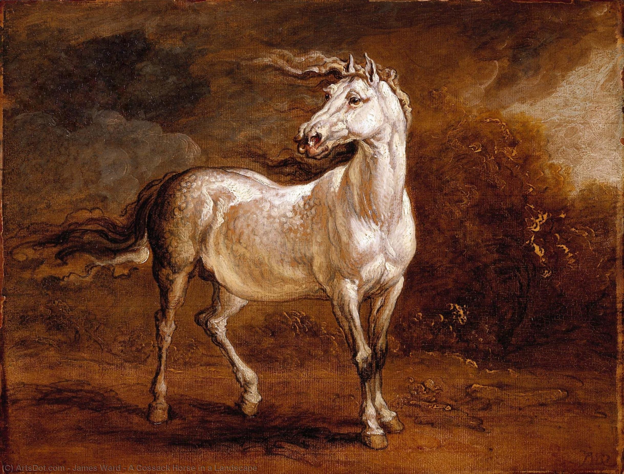 Wikioo.org - The Encyclopedia of Fine Arts - Painting, Artwork by James Ward - A Cossack Horse in a Landscape