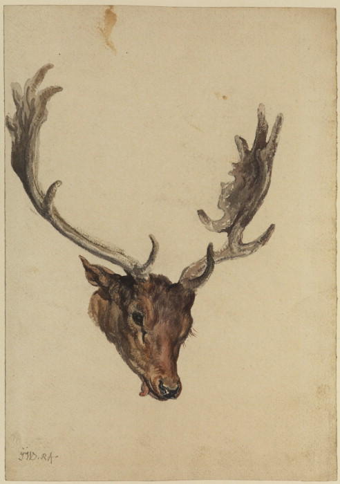 WikiOO.org - Енциклопедія образотворчого мистецтва - Живопис, Картини
 James Ward - Head of a stag