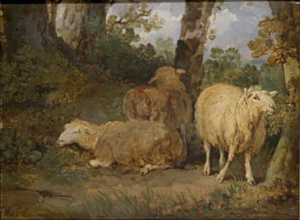 Wikioo.org - The Encyclopedia of Fine Arts - Painting, Artwork by James Ward - Sheep