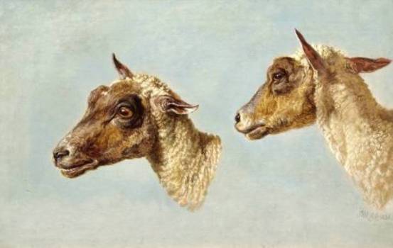 WikiOO.org - Encyclopedia of Fine Arts - Maleri, Artwork James Ward - Study of Sheeps' Heads