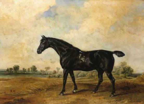 Wikioo.org - The Encyclopedia of Fine Arts - Painting, Artwork by James Ward - The Black Horse