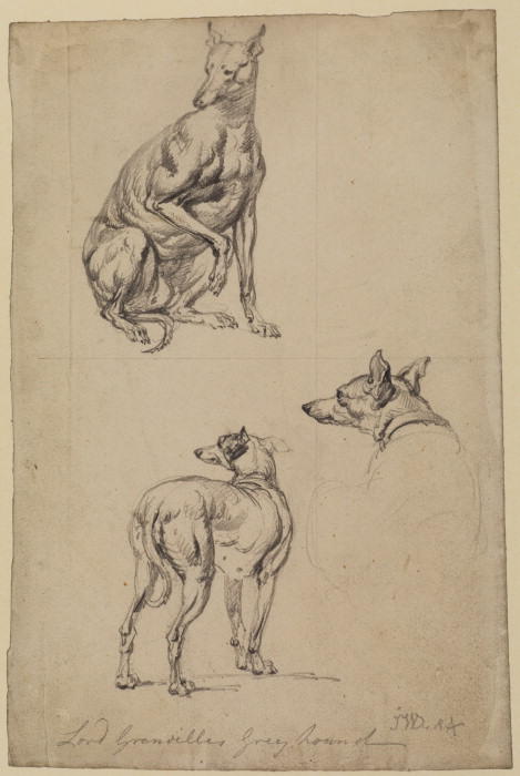 Wikioo.org - The Encyclopedia of Fine Arts - Painting, Artwork by James Ward - Three studies of a greyhound