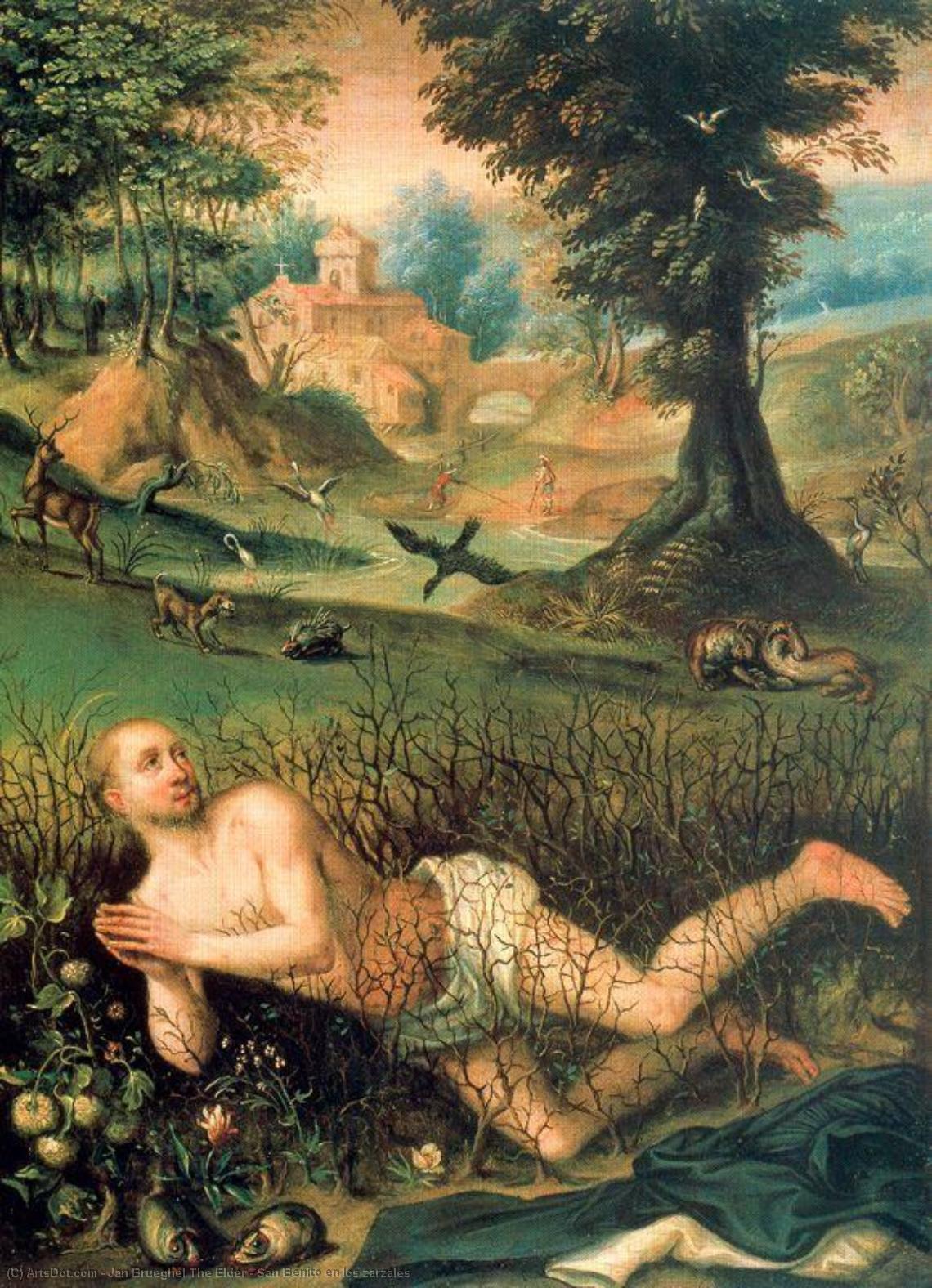 Wikioo.org - The Encyclopedia of Fine Arts - Painting, Artwork by Jan Brueghel The Elder - San Benito en los zarzales