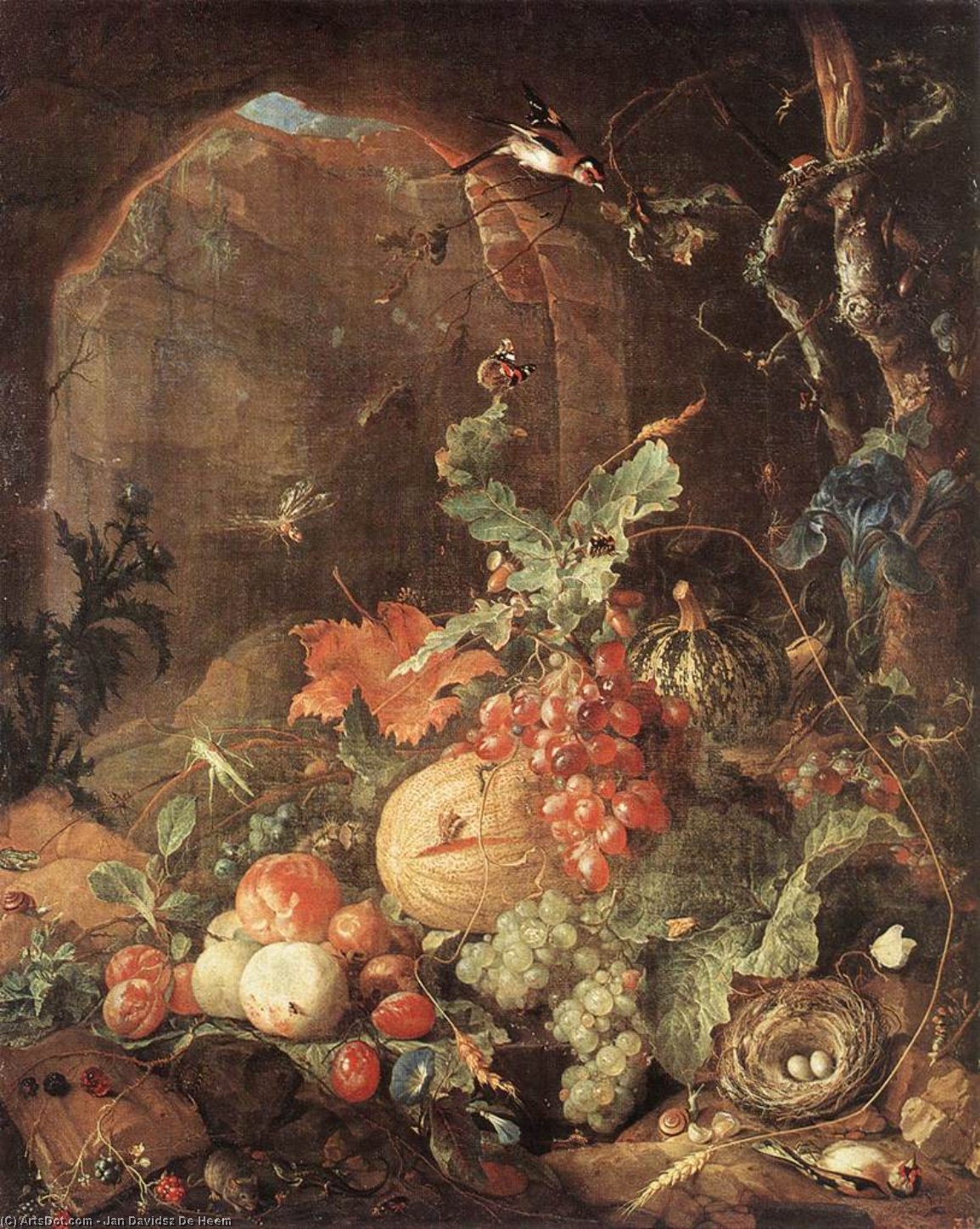 Wikioo.org - The Encyclopedia of Fine Arts - Painting, Artwork by Jan Davidsz De Heem - Still-Life with Bird-nest