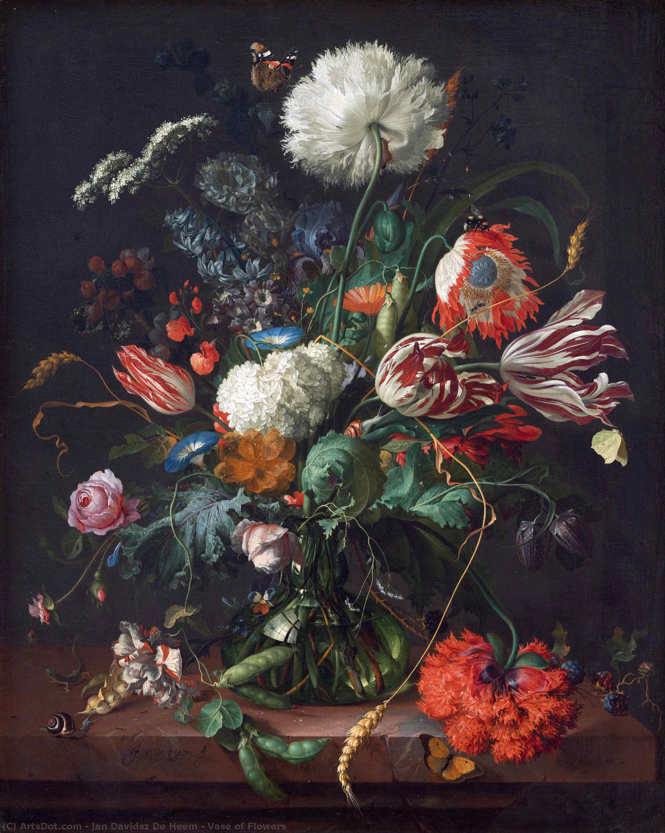 Wikioo.org - The Encyclopedia of Fine Arts - Painting, Artwork by Jan Davidsz De Heem - Vase of Flowers
