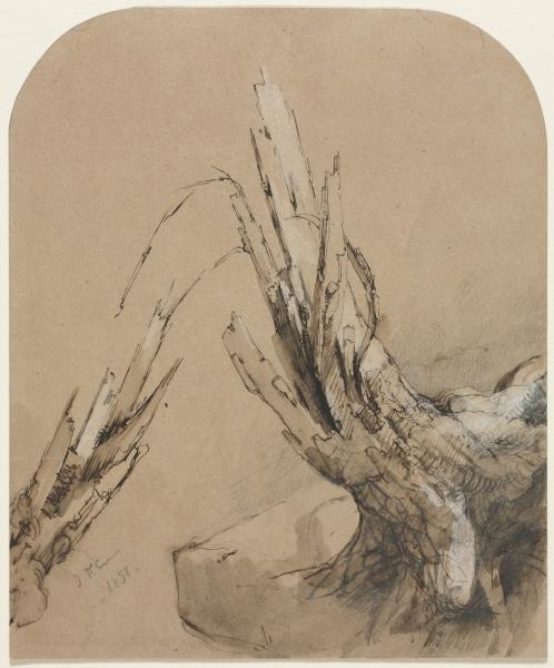 WikiOO.org - Enciklopedija likovnih umjetnosti - Slikarstvo, umjetnička djela Jasper Francis Cropsey - A Blasted Tree