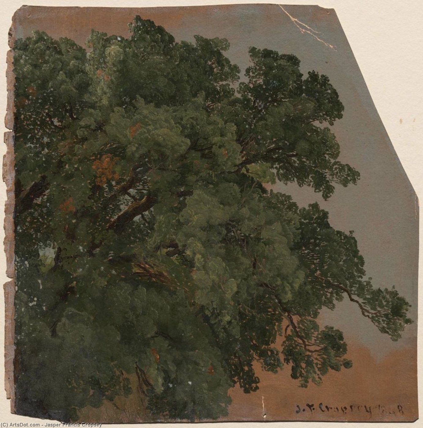 WikiOO.org - Енциклопедия за изящни изкуства - Живопис, Произведения на изкуството Jasper Francis Cropsey - Foliage, Branches of Tree