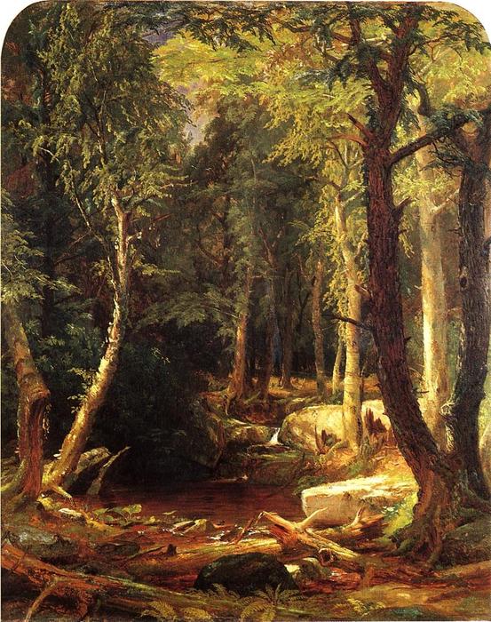 Wikioo.org - สารานุกรมวิจิตรศิลป์ - จิตรกรรม Jasper Francis Cropsey - Pool in the Woods
