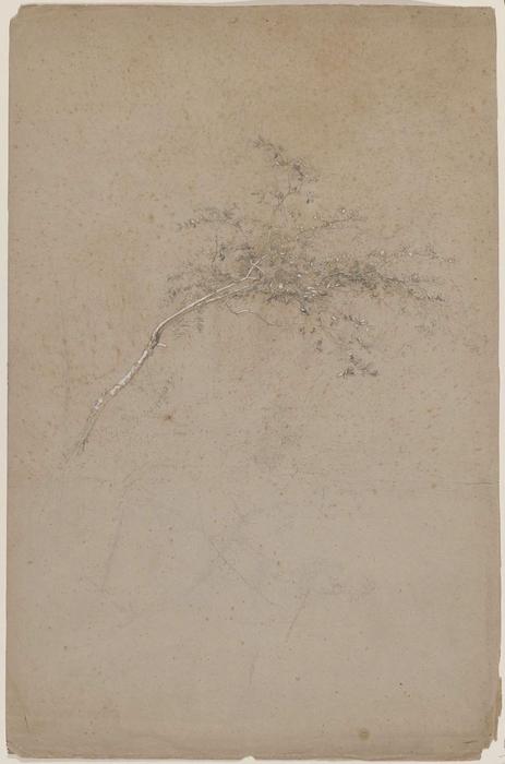 WikiOO.org - دایره المعارف هنرهای زیبا - نقاشی، آثار هنری Jasper Francis Cropsey - Slender Tree