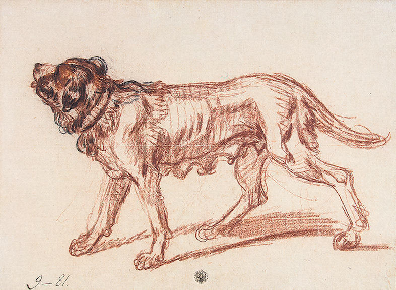 Wikioo.org - The Encyclopedia of Fine Arts - Painting, Artwork by Jean-Baptiste Greuze - Study for 'The Paralytic'. Study of a Dog