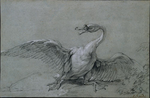 Wikoo.org - موسوعة الفنون الجميلة - اللوحة، العمل الفني Jean-Baptiste Oudry - Angry Swan