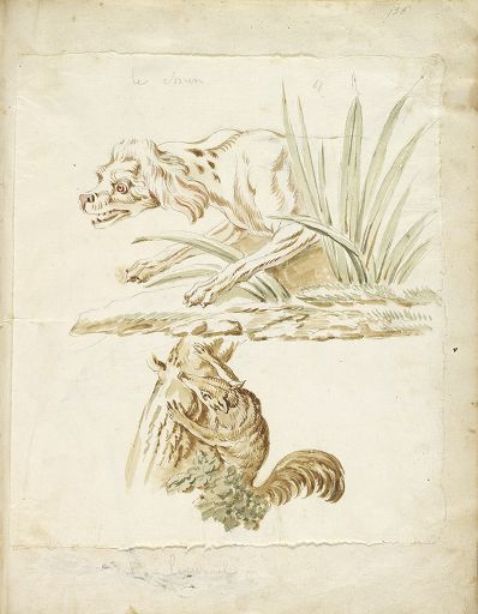WikiOO.org - Encyclopedia of Fine Arts - Maleri, Artwork Jean-Baptiste Oudry - Dog and Squirrel