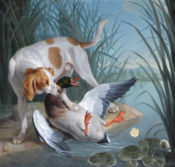Wikioo.org – La Enciclopedia de las Bellas Artes - Pintura, Obras de arte de Jean-Baptiste Oudry - perro y salvaje pato