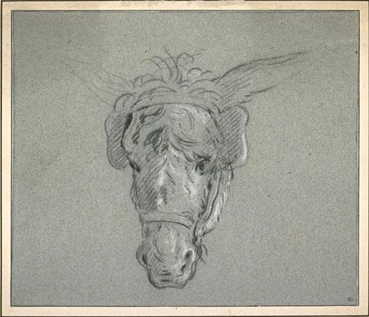 Wikioo.org - Bách khoa toàn thư về mỹ thuật - Vẽ tranh, Tác phẩm nghệ thuật Jean-Baptiste Oudry - Head of a donkey