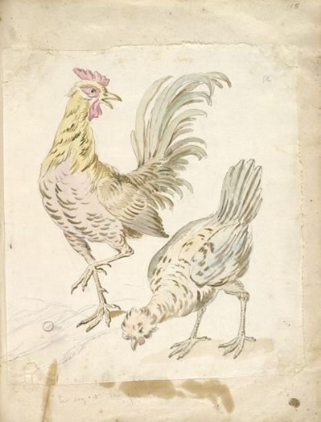 Wikioo.org - The Encyclopedia of Fine Arts - Painting, Artwork by Jean-Baptiste Oudry - Rooster and Hen