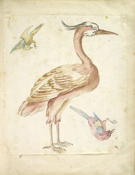 Wikioo.org - The Encyclopedia of Fine Arts - Painting, Artwork by Jean-Baptiste Oudry - Standing Heron and Two Small Birds