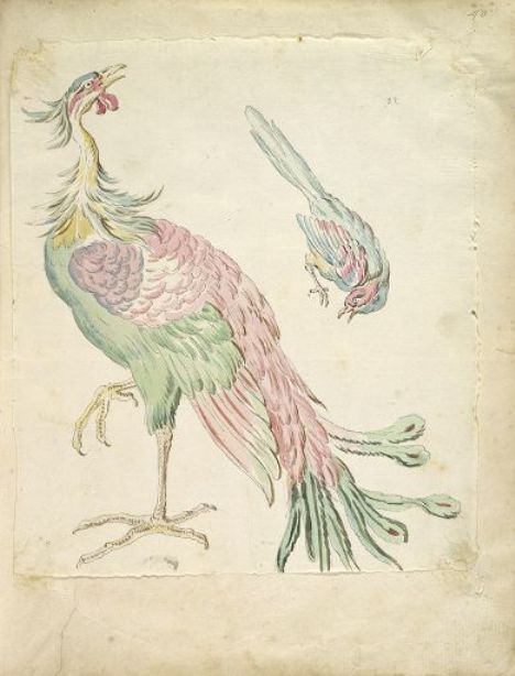 Wikioo.org - The Encyclopedia of Fine Arts - Painting, Artwork by Jean-Baptiste Oudry - Standing Peacock and Small Perched Bird