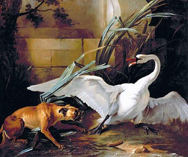 Wikioo.org - The Encyclopedia of Fine Arts - Painting, Artwork by Jean-Baptiste Oudry - Swan Attacked by a Dog