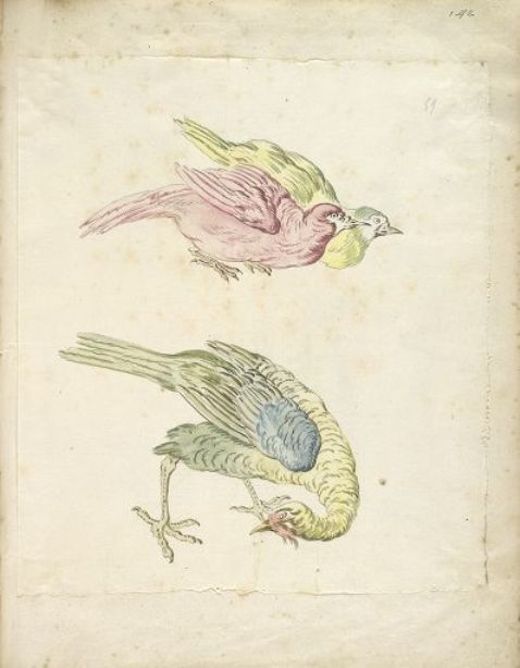 Wikioo.org – L'Enciclopedia delle Belle Arti - Pittura, Opere di Jean-Baptiste Oudry - tre uccelli , Due Hunched Insieme e One osservare posteriore a sinistra