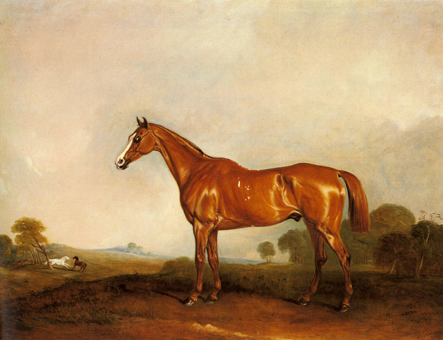 Wikioo.org - The Encyclopedia of Fine Arts - Painting, Artwork by John E Ferneley I - A Chestnut Hunter in a Landscape