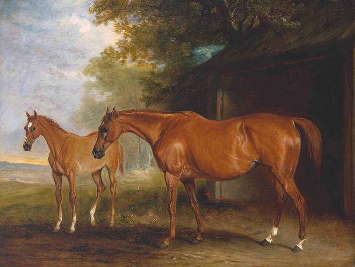 Wikioo.org - The Encyclopedia of Fine Arts - Painting, Artwork by John Ferneley Ii - Defiance, a Brood Mare, with Reveller, a Foal