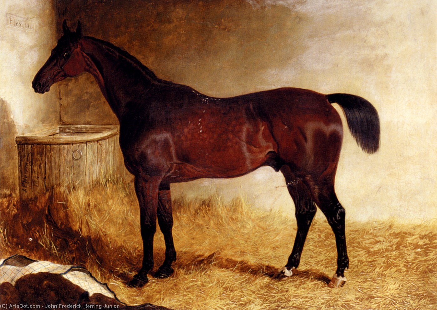 WikiOO.org - Encyclopedia of Fine Arts - Målning, konstverk John Frederick Herring Junior - Flexible, A Chestnut Racehorse In A Loose Box