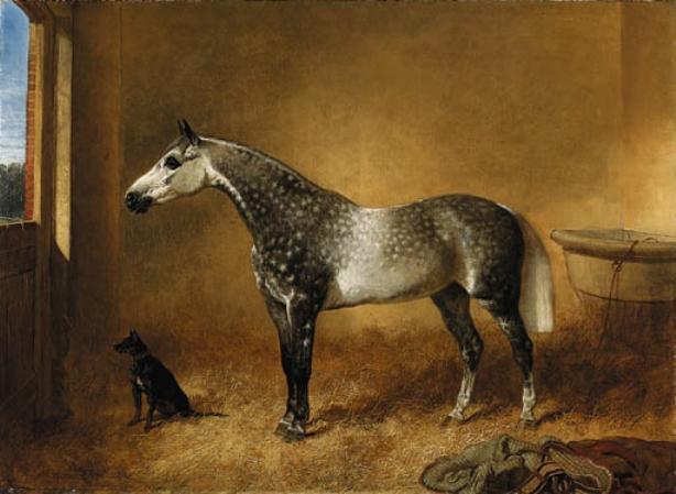Wikioo.org - The Encyclopedia of Fine Arts - Painting, Artwork by John Frederick Herring Senior - A dappled grey mare and a dog in a stable