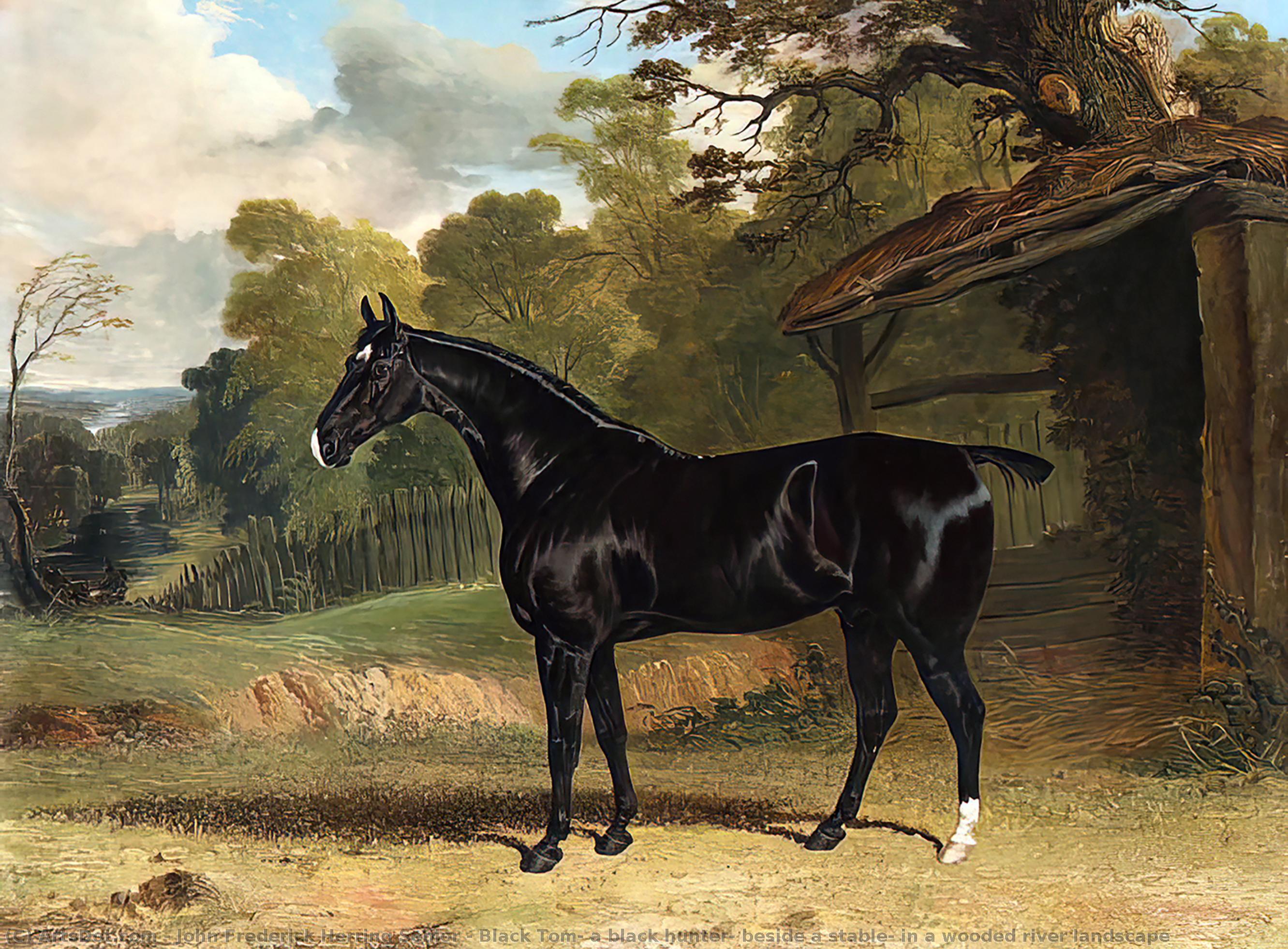 Wikioo.org - The Encyclopedia of Fine Arts - Painting, Artwork by John Frederick Herring Senior - Black Tom, a black hunter, beside a stable, in a wooded river landscape