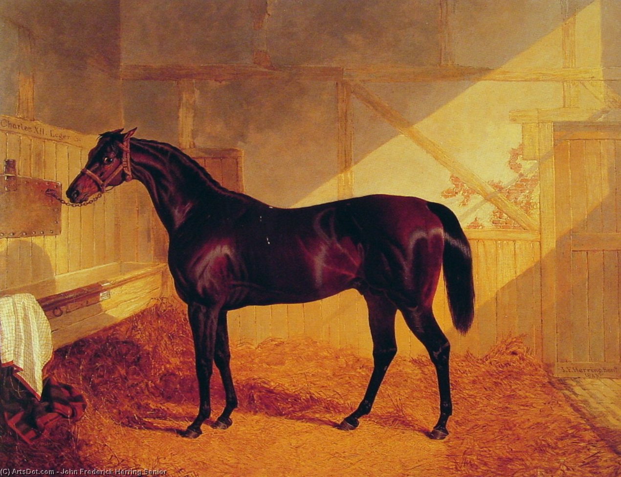 Wikioo.org - The Encyclopedia of Fine Arts - Painting, Artwork by John Frederick Herring Senior - Mr Johnstone's Charles XII in a Stable