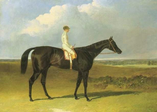 Wikioo.org - The Encyclopedia of Fine Arts - Painting, Artwork by John Frederick Herring Senior - Mr O'Brien's Jonathan Wild, with jockey up