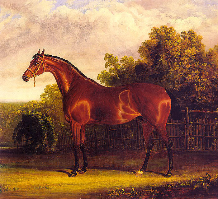 Wikioo.org - The Encyclopedia of Fine Arts - Painting, Artwork by John Frederick Herring Senior - Negotiator the Bay Horse in a Landscape