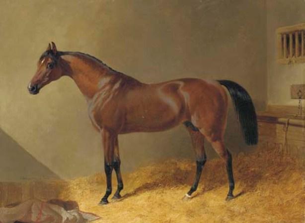 WikiOO.org - Encyclopedia of Fine Arts - Maalaus, taideteos John Frederick Herring Senior - Pacelot, a bay stallion, in a stable