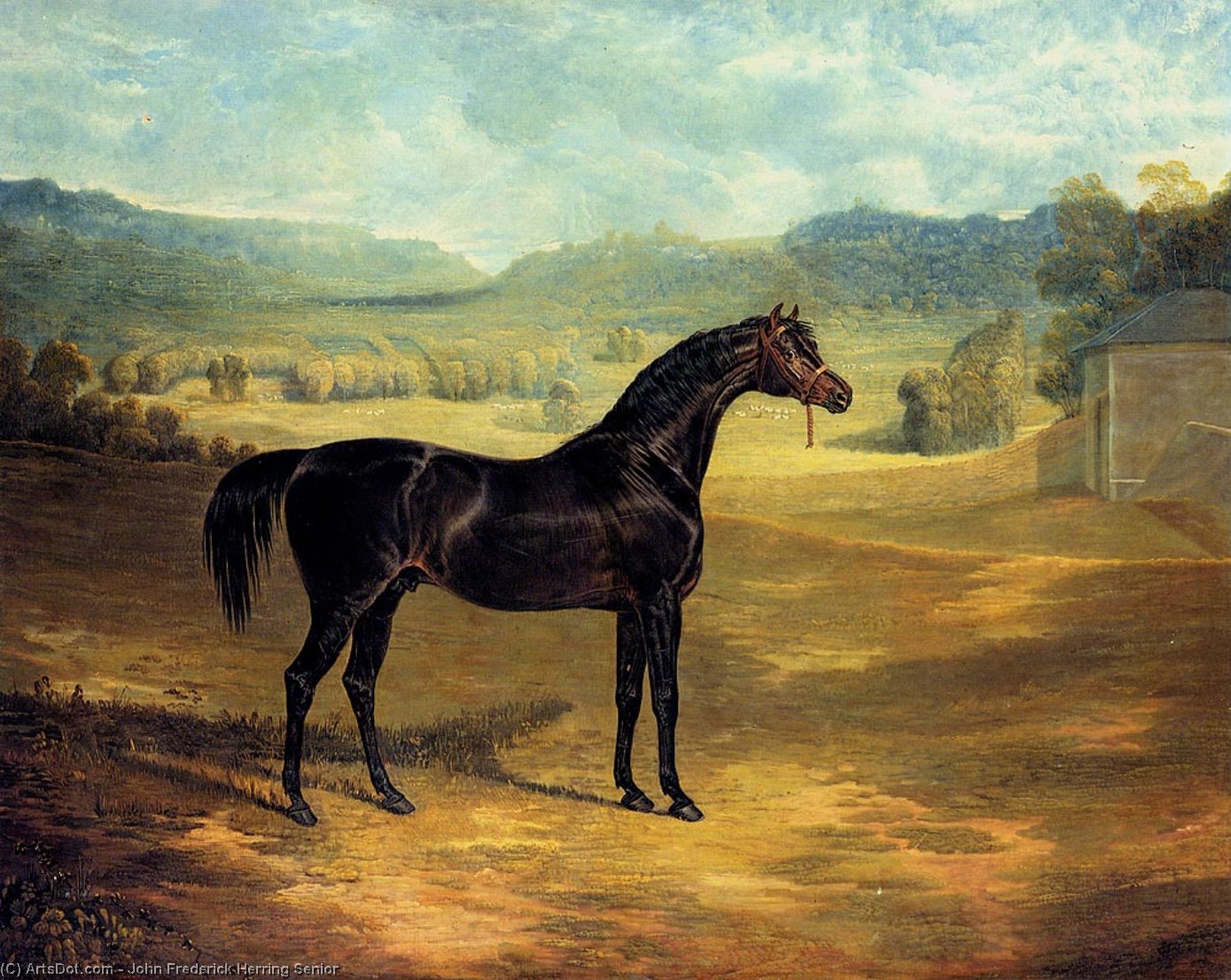 Wikioo.org - The Encyclopedia of Fine Arts - Painting, Artwork by John Frederick Herring Senior - The Bay Stallion Jack Spigot
