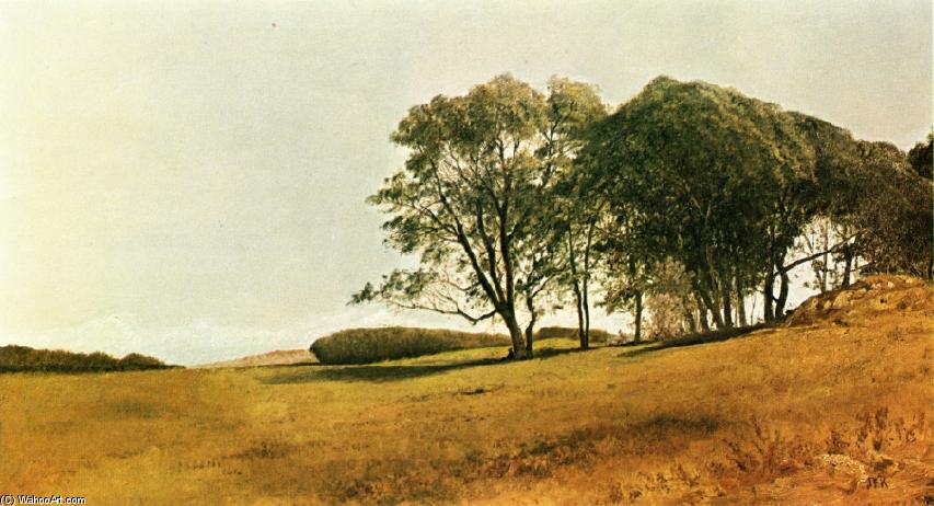 WikiOO.org - Енциклопедия за изящни изкуства - Живопис, Произведения на изкуството John Frederick Kensett - Landscape with Figure