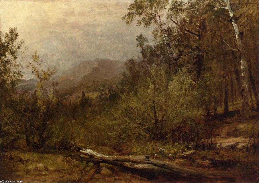 WikiOO.org - Encyclopedia of Fine Arts - Lukisan, Artwork John Frederick Kensett - Trotter's Spring, Colorado