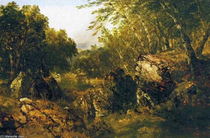 WikiOO.org - Encyclopedia of Fine Arts - Lukisan, Artwork John Frederick Kensett - White Mountain Scenery 1